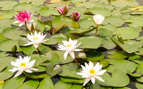 ��̽��������˯�����а����ʿ�ѧ�̰�