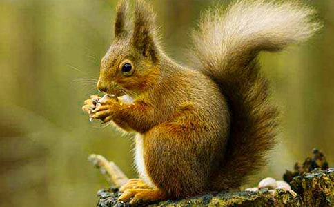 �����󡷽�ѧ��� �̰���ѧ���