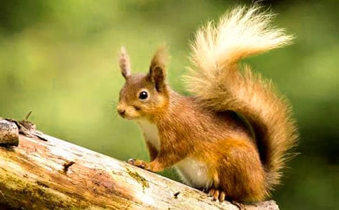 ������ �̰���ѧ���(�ս̰����꼶�²�)