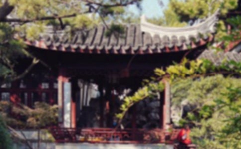 《苏州园林》课案(人教实验版八上)(网友来稿) 教案教学设计