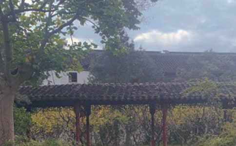 ������԰�֡��̰����