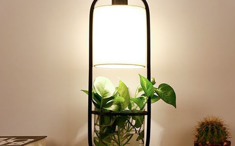 ����˵����̨�����Ļ����ƪ