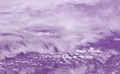 ̨����ռ�15ƪ