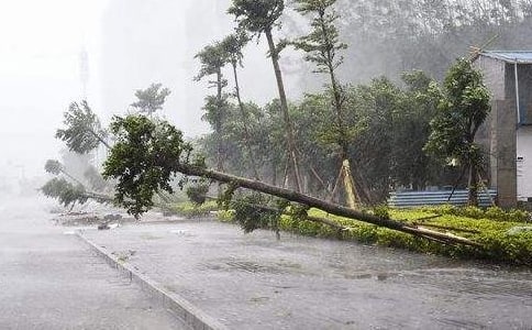 ������̨������ǡ��̰�(12ƪ)