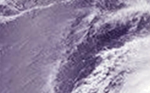 ̨����ռǣ���ѡ31ƪ��