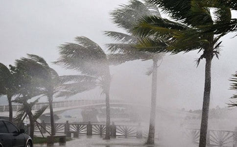 �аలȫ�̰�̨������