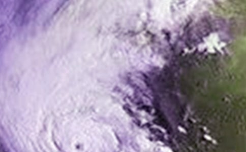 中班安全活动:《台风来了》