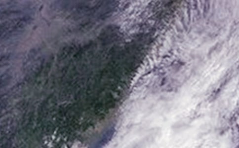 ̨����������