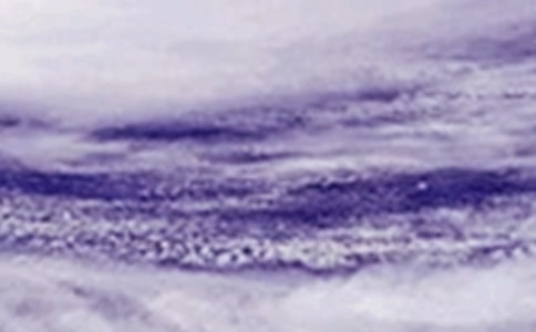 ����̨����ռ�12ƪ