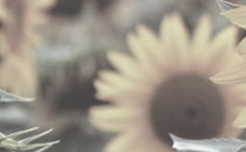 �����̰���̫����