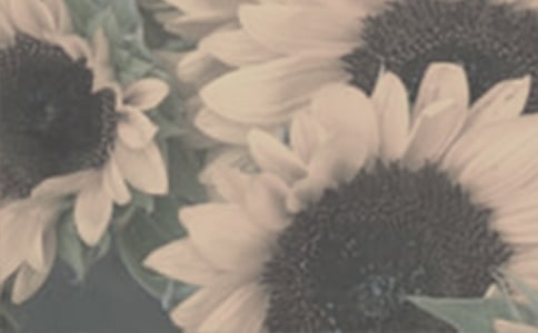 �������̫����Ů���������