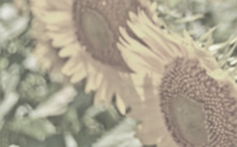 ����һƬ̫��������ѧ��˼