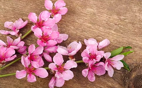 �����һ�ˮ�̰�