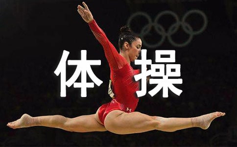 大班结构活动:体操运动员