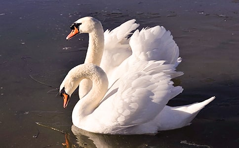 �����ۺ��