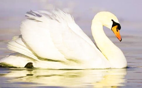 ����졷�̰� �̰���ѧ���