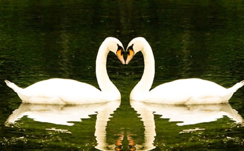 ����졷��ѧ��˼