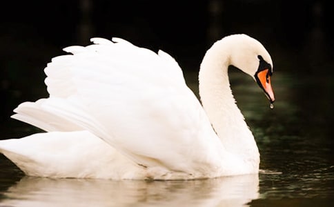 Сѧ������̩������