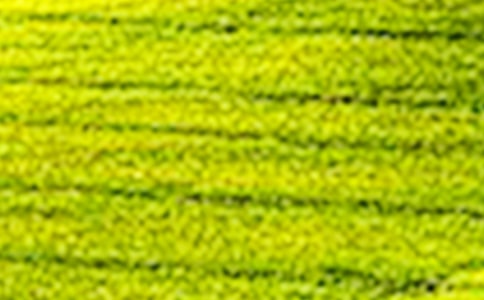 ������ף����ҵ��й��ġ�����ϣ������Ұ�ϡ����ƺ��̡�(�ս̰����꼶�̰����)