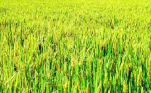 ����Ұ����Ͳ˻����̰�