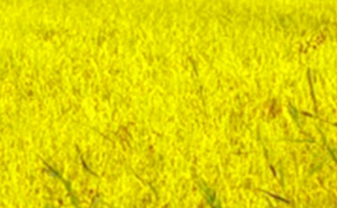 ��Ұ����д������7ƪ