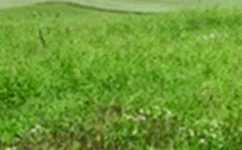 ��������Ұ���꼶����