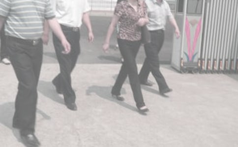 ͳ�ƾֹ����ƻ���ƪ