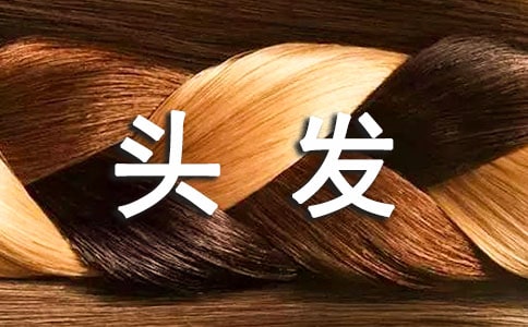 学生泡网吧 遭校长痛殴并剪乱了头发