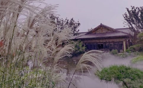 ����Ȫ���ռ�