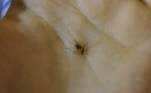 дһ��С���桪������Сѧ����