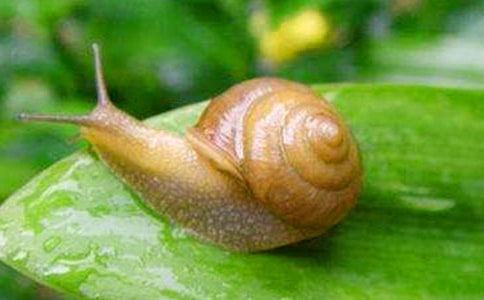 �۲���ţ���ռ�6ƪ[����]