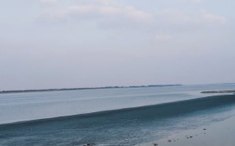 �����ǿ���ȥ�������