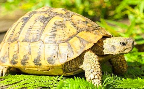 ����Ʒ��С�ڹ���꼶����300��3ƪ