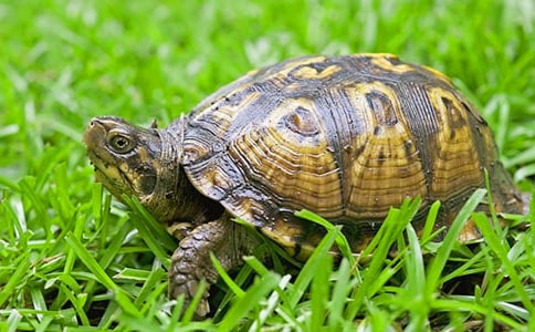 �ڹ�۲��ռ�