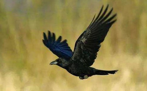 ������ѻ���ھӡ������