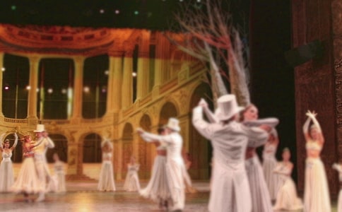 读《黑熊舞蹈家》有感