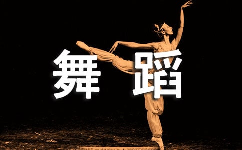 �ٶ��赸��ѧ�ƻ�