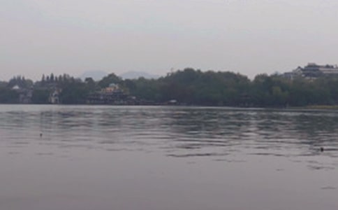 ��ʵ�á��������������꼶����300��4ƪ