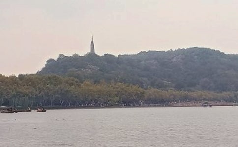 ��ѡ���꼶�������Ļ���9ƪ