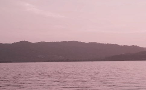 �����������δ�14ƪ