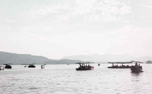 ���������ĸſ�