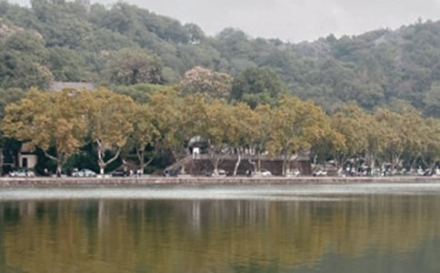 杭州西湖导游词(集锦15篇)