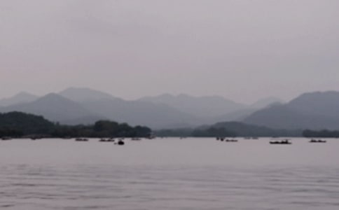 ʵ�õ����꼶��������300�ֻ��8ƪ