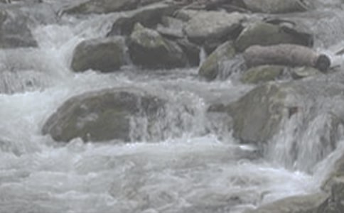 18.《小溪流的歌》(河大版七年级必修教案设计)