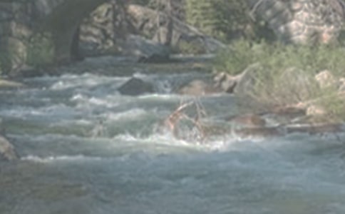 《小溪流的歌》教学设计(2006优质课)(人教版八年级必修) 教案教学设计