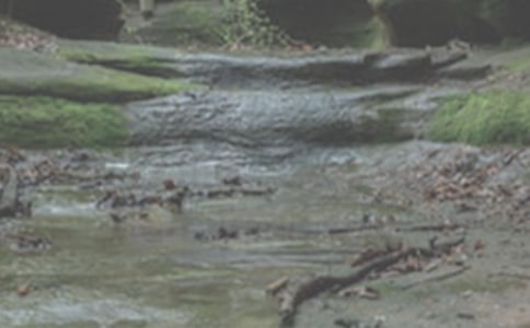 小溪流的歌(网友来稿) 教案教学设计