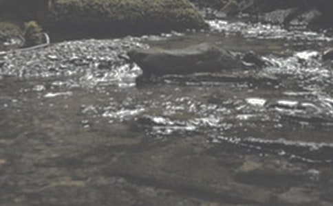 小溪流的歌(网友来稿) 教案教学设计