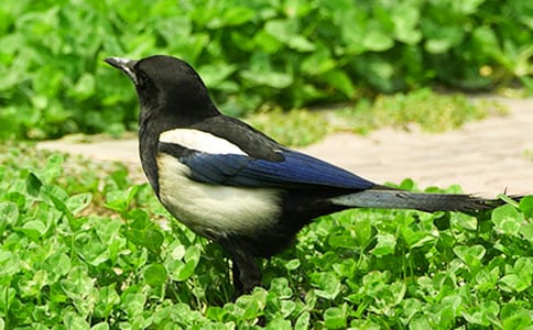 ������ϲȵ����ѧ��˼