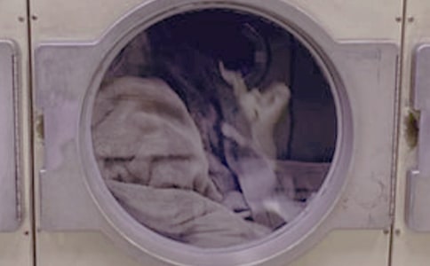 洗衣服日记集合十篇