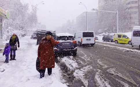 ��ʵ�á���ѩ��Сѧ���Ļ����ƪ